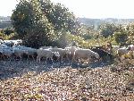 Photo DSC01171.JPG
